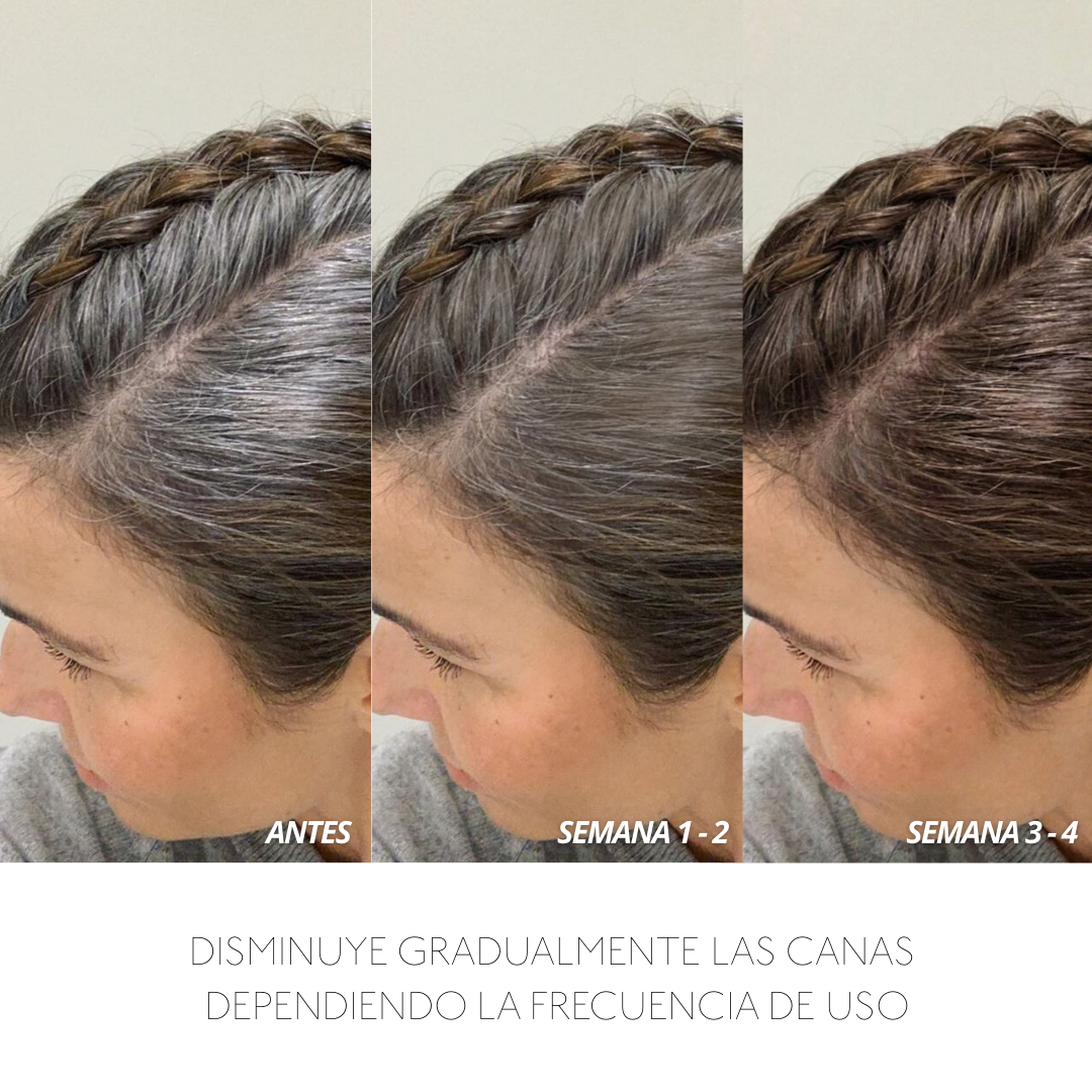 Resultados de tratamiento capilar: antes y después de 3-4 semanas, cubriendo canas. - Luxent Professional