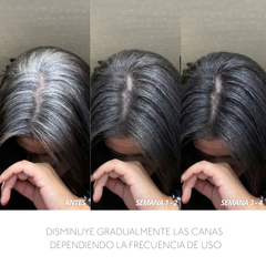 Resultados de tratamiento capilar: reducción gradual de canas en 3-4 semanas. - Luxent Professional