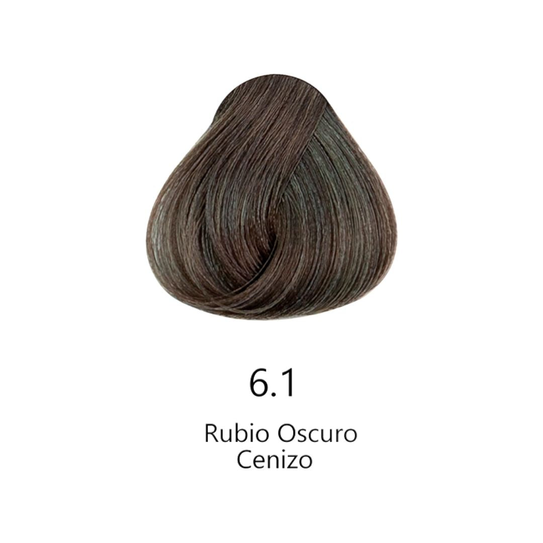 Muestra de color de tinte 6.1 Rubio Oscuro Cenizo para cabello profesional | L'xent Professional