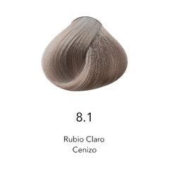 Muestra de color de tinte 8.1 Rubio Claro Cenizo para cabello profesional - Luxent Professional